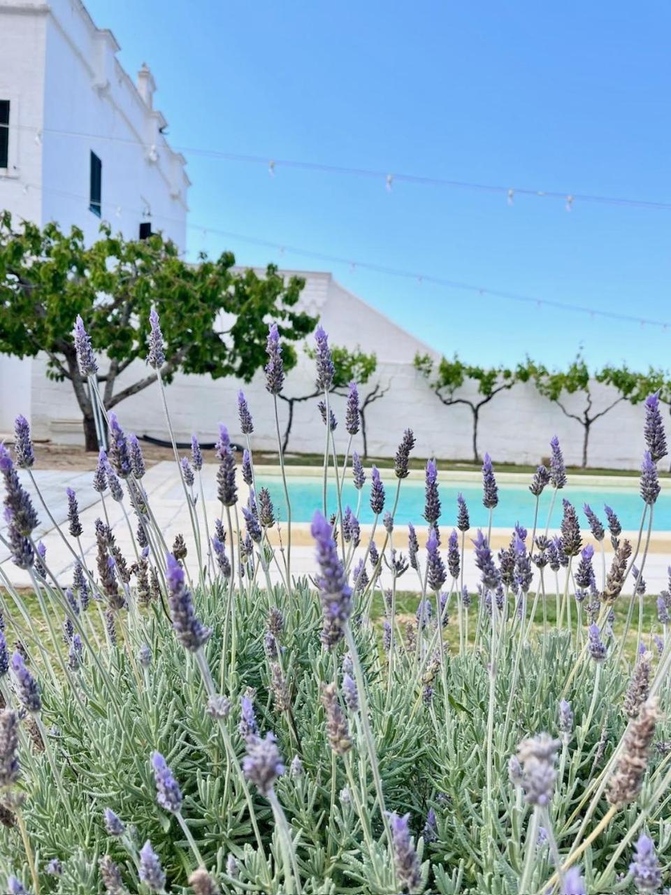מונופולי Masseria Mammella מראה חיצוני תמונה