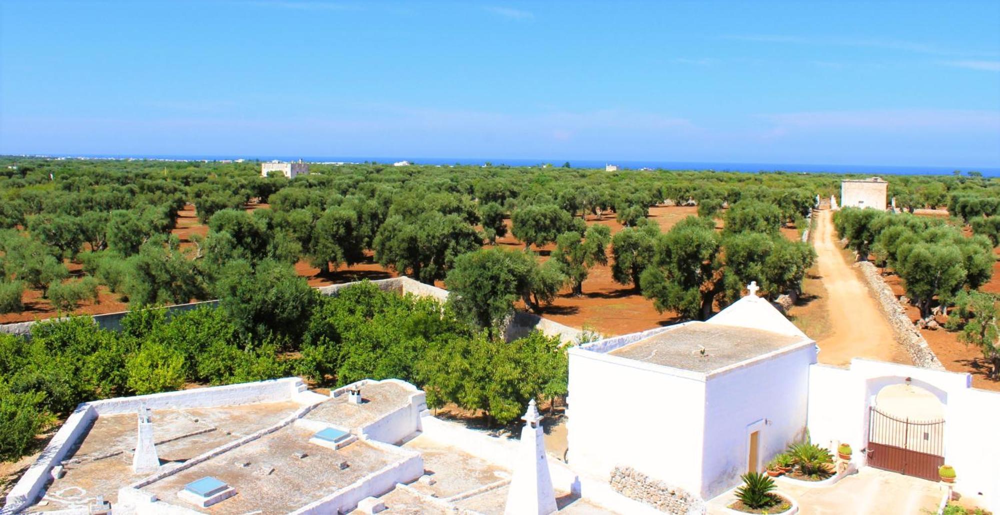 מונופולי Masseria Mammella מראה חיצוני תמונה