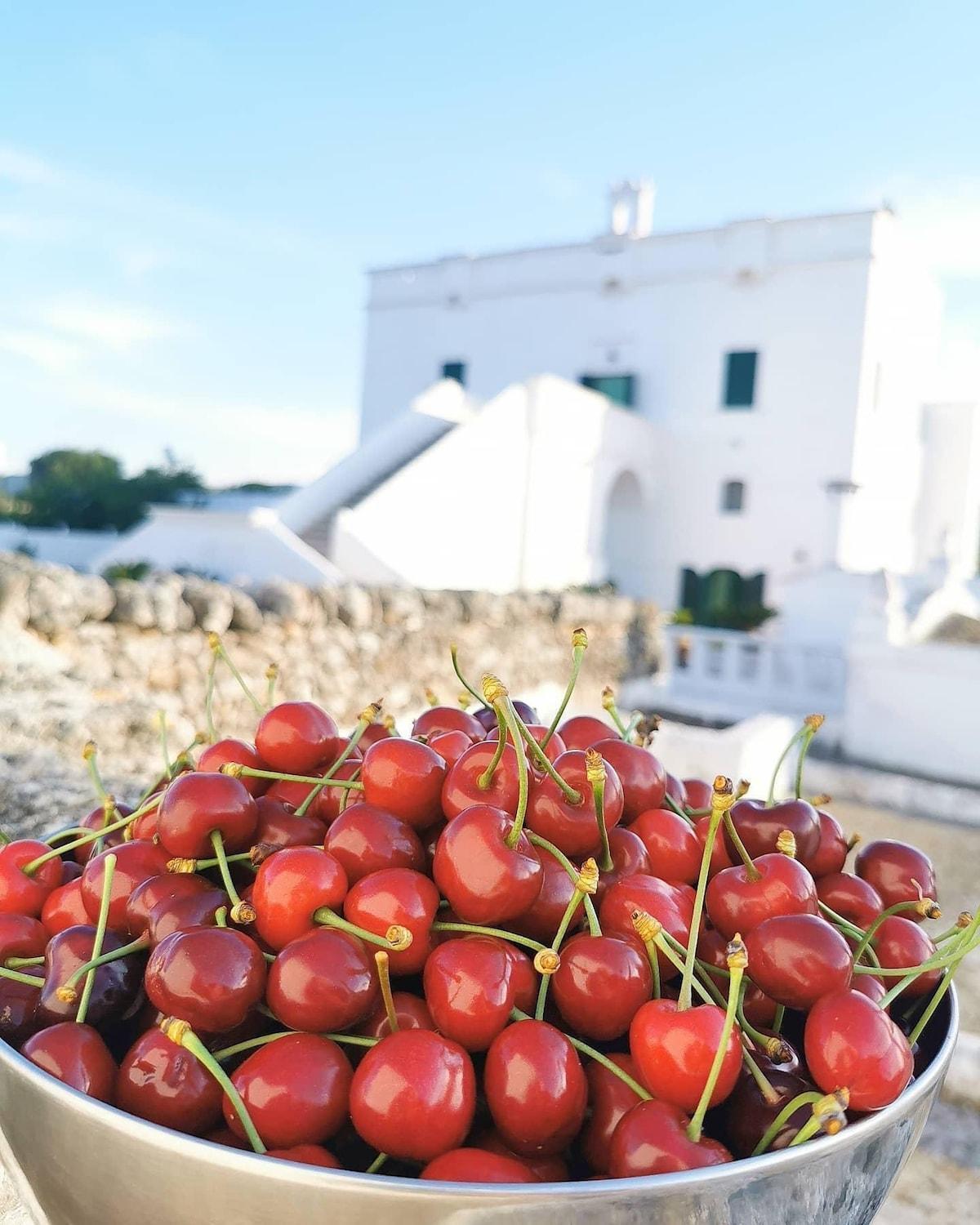 מונופולי Masseria Mammella מראה חיצוני תמונה